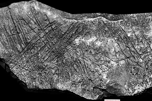 В моравской пещере нашли гравюры возрастом 15 тысяч лет