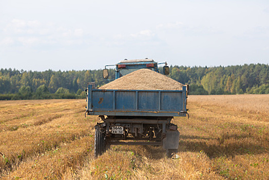 РФ приостановила экспорт зерновых культур до 1 июля
