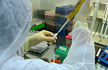 Роспотребнадзор сообщил о расширении сети лабораторий для тестирования на коронавирус