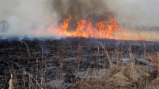 Омск окутал густой смог
