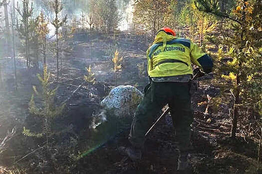 В Лапландском заповеднике потушили пожар на 13 га