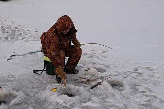 Щурогайка прёт! Салехардцы хвастаются уловами