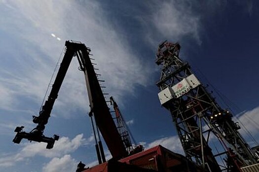 ФАС получила ходатайство от DP World о покупке акций Fesco