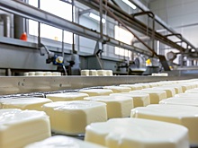 На предприятии ООО «Боговар» начали выпускать сыр халлуми