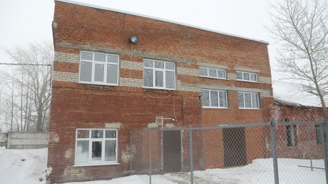 В Каменке бывшая воинская часть стала приютом для собак