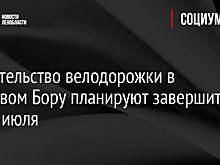 Строительство велодорожки в Сосновом Бору планируют завершить до 20 июля