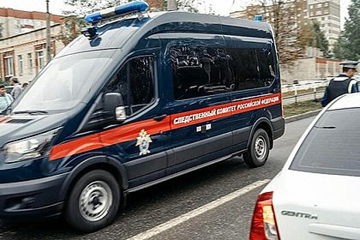 Следователи возбудили дело по факту убийства 12-летней российской школьницы