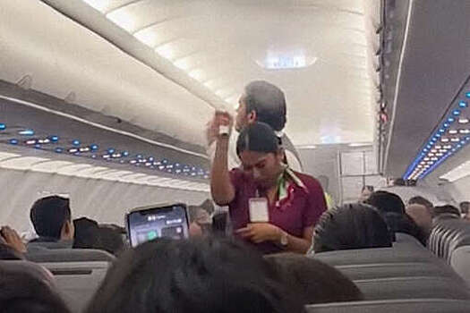 UPI: рейс в Мексике задержали на два часа из-за роя комаров в салоне самолета