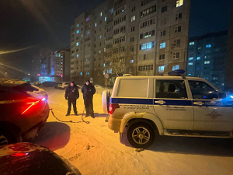 В Ханты-Мансийском автономном округе - Югре сотрудники патрульно-постовой службы оказали помощь девушке, застрявшей на автомобиле в снегу