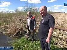 Зловонное болото у озера Сенеж: канализационная катастрофа под Солнечногорском