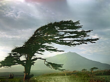 Случай в Тирасполе во время стихии: спас других, а сам пострадал