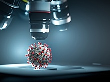 Рукотворный шип ковида