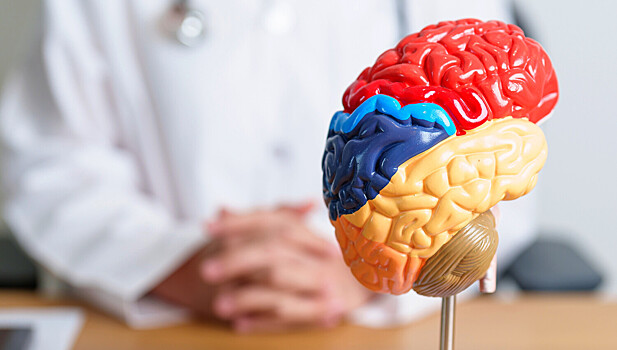 Найден общий провокатор болезни Альцгеймера и эпилепсии