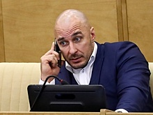 Депутат-вегетарианец назвал заявление создателя сырков «Б.Ю. Александров» недопустимым