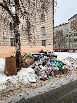          Роман Титов: Заканчиваются испорченные бестолковыми чиновниками и криворукими мусорщиками новогодние каникулы       