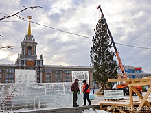 В центре Екатеринбурга установили главную новогоднюю ель
