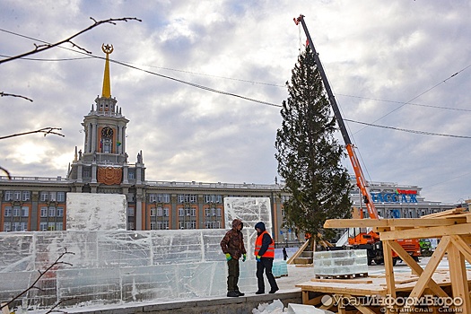 В центре Екатеринбурга установили главную новогоднюю ель