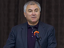 Обманутая дольщица Ирина Горбунова рассказала о помощи Володина в получении компенсации за квартиру