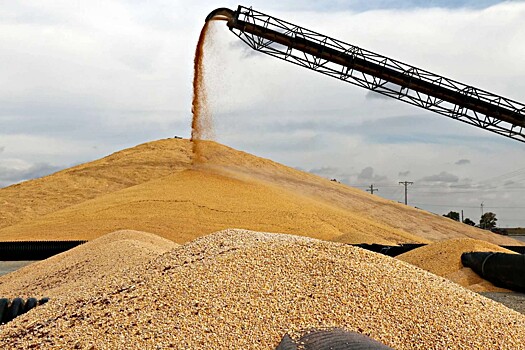 Агрохолдинг «Юбилейный» вложит 10 млрд рублей в завод глубокой переработки зерна