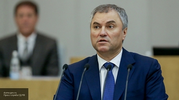 Комиссар Совета Европы прокомментировал декриминализация побоев в России