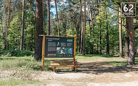 Туристы пожаловались на отсутствие общественных туалетов в Солотче под Рязанью