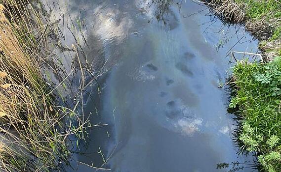 В Курске Минприроды выясняет причины загрязнения реки Тускарь