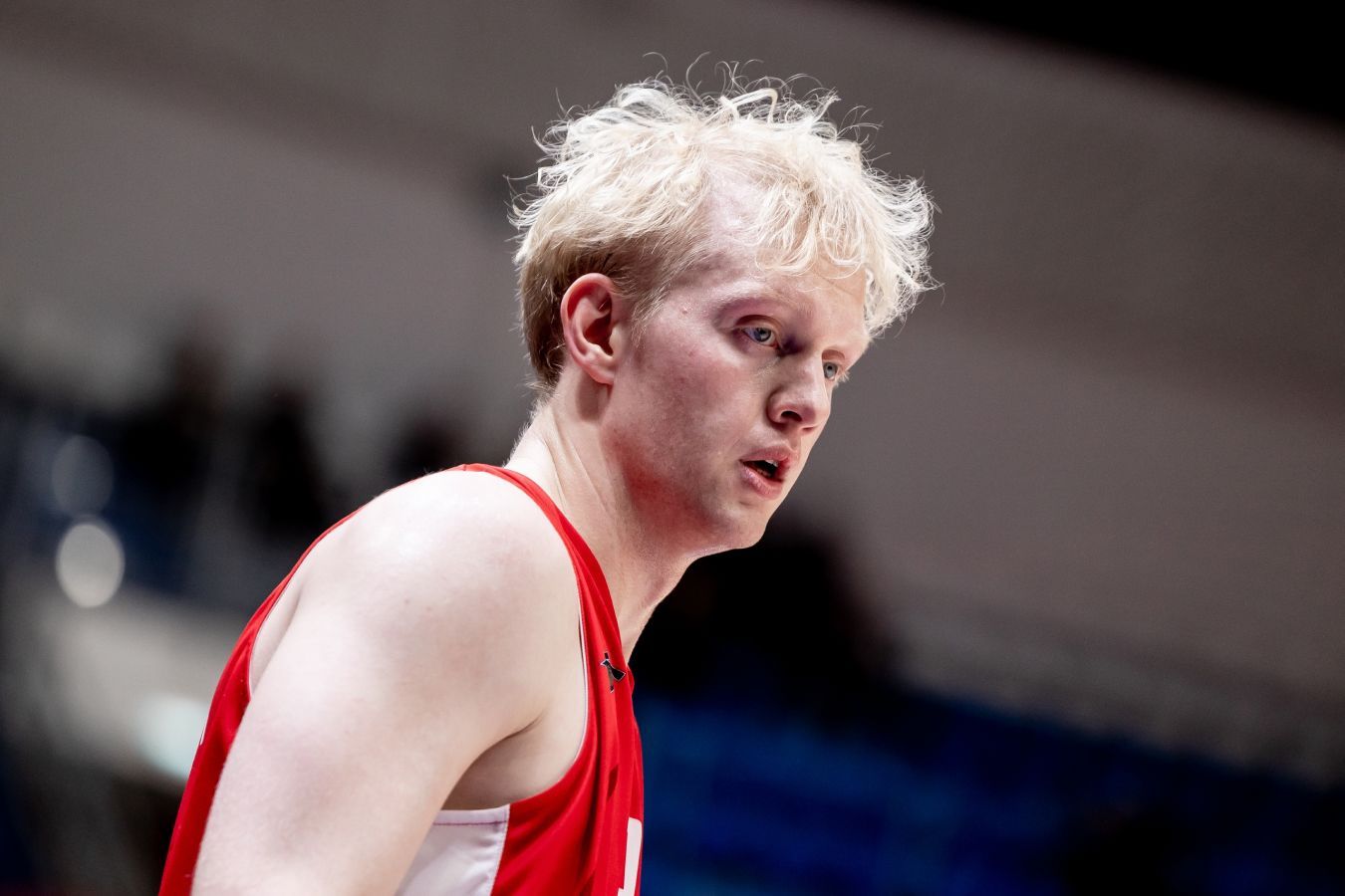  �������&nbsp; �������� ����������� �������� �������� ������� ���������