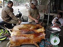Официанты с мачете и эротика в Хойане: Вьетнам на прошедшей неделе