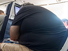 Авиаперелет с тучным пассажиром на соседнем месте назвали катастрофой