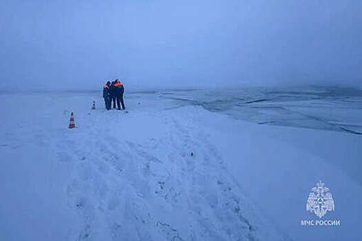 Минздрав: пять человек, провалившихся под лед в Якутии, получили обморожение