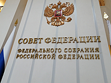 Рабочая группа в Совфеде обобщит замечания по проекту о профилактике домашнего насилия до 15 декабря