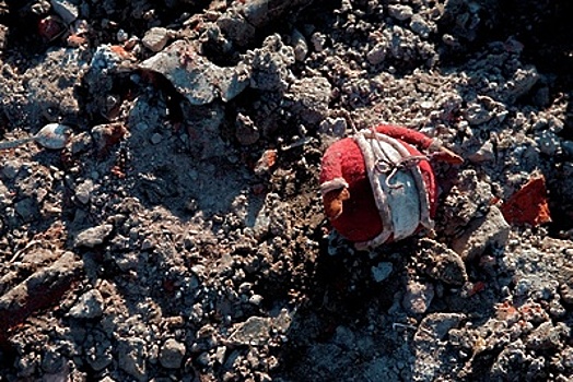 Около 160 несанкционированных свалок бытового мусора выявили в Солнечногорском районе