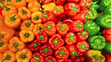 Диетолог рассказала о пользе болгарского перца
