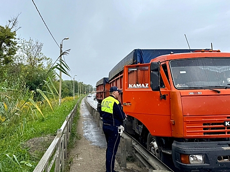 На трассе М5 водитель грузовика насмерть сбил женщину-пешехода