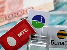 Путин поручил разобраться с дискриминацией операторов связи