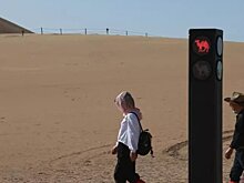 В КНР установили светофор, регулирующий движение верблюдов