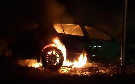 В Клепиковском районе Opel врезался в дерево и загорелся