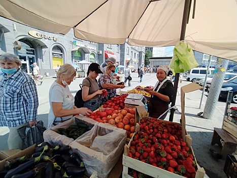 «Овощная» мафия в Новосибирске пользуется пробелами в муниципальном законодательстве