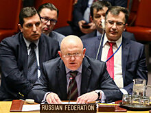 СМИ рассказали о судьбе принадлежавших Скрипалю животных