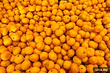 В ХМАО пытались нелегально провезти 20 тонн мандаринов