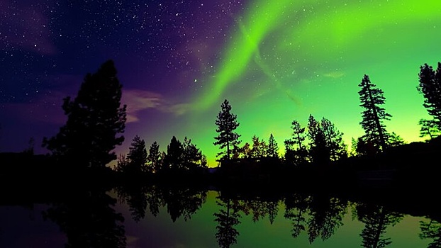 Жители нескольких регионов России смогут увидеть северное сияние в новогоднюю ночь