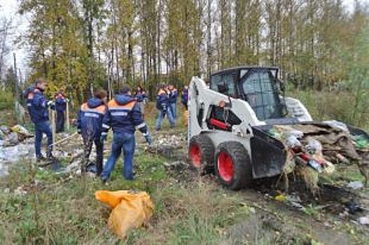 Преступления против природы. Как бороться с незаконными свалками?