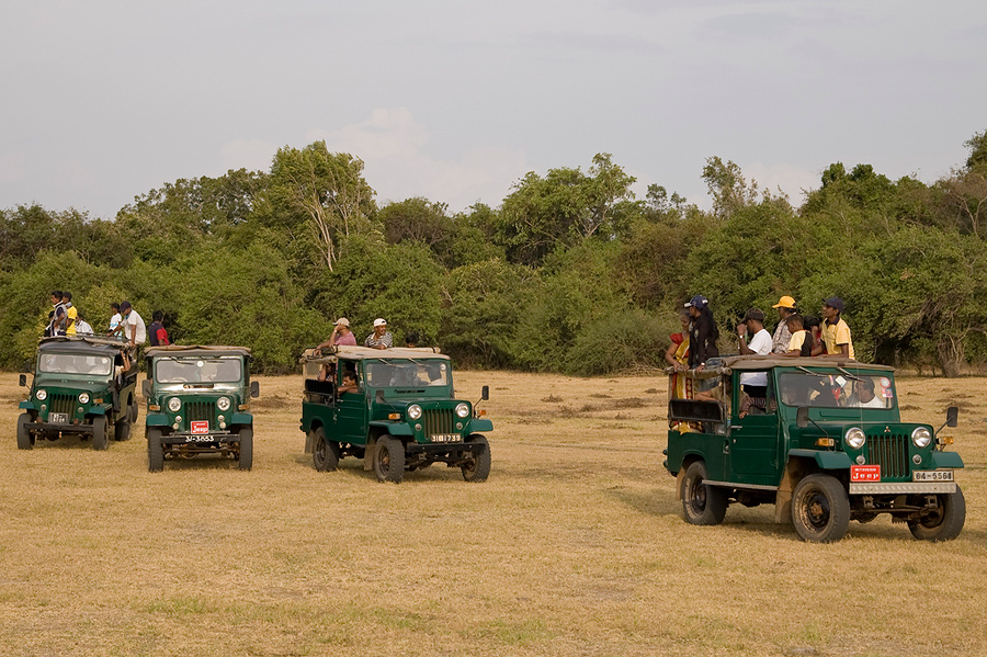 Национальный парк Минерия, Шри-Ланка, Шри-Ланка