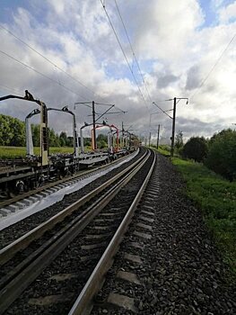 В Кировской области поезд сбил грибника, присевшего отдохнуть на рельсы