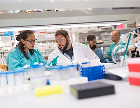 Ученые разработали универсальный трансплантат сосудов