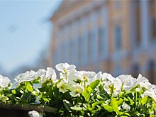 Русский музей станет темой "Арт-превращений"