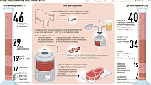 Ученые утверждают: искусственное мясо может спровоцировать рак