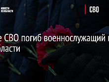В зоне СВО погиб военнослужащий из Ленобласти