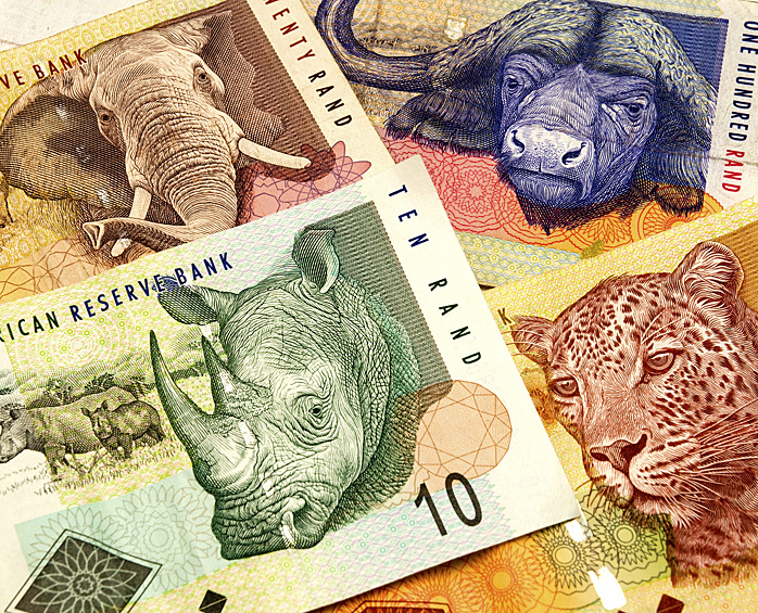 Южноафриканский рэнд. На современных купюрах Южноафриканской республики изображена «большая пятерка» животных Африканского континента: слон, носорог, буйвол, лев и леопард