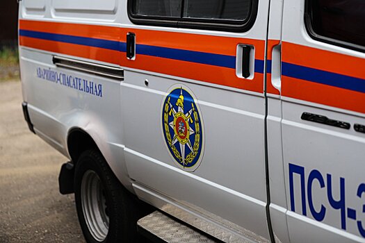 МЧС: за сутки в Подмосковье в ДТП погибли два человека